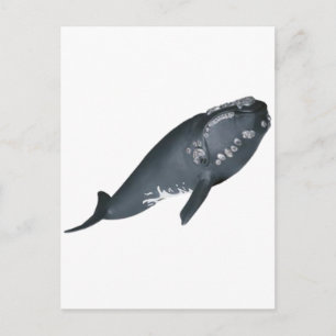 KLAAR OM TE OVERTREDEN BRIEFKAART