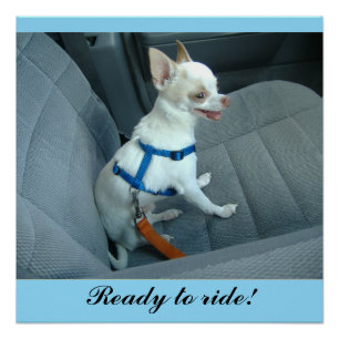 Klaar om te rijden Glossy Poster
