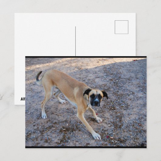 Klaar om te spelen briefkaart (Voorkant / Achterkant)