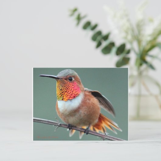 Klaar om te starten briefkaart (Staand voorkant)