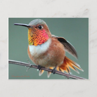 Klaar om te starten briefkaart