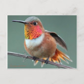 Klaar om te starten briefkaart (Voorkant)