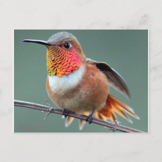 Klaar om te starten briefkaart (Voorkant)