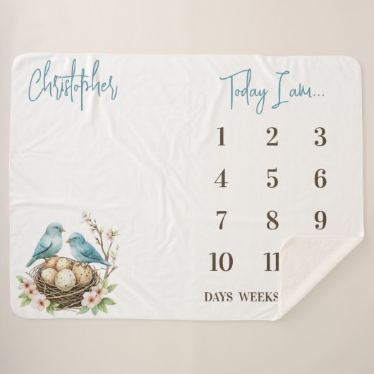 Klaar om uit te komen! Schattigee Vogels Baby Mile Sherpa Deken (Voorkant (horizontaal))