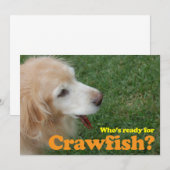 Klaar voor Crawfish Kaart (Voorkant / Achterkant)