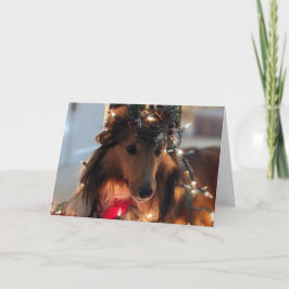 Klaar voor de kerst sheltie kaart
