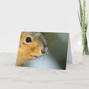 Klaar voor de lente kaart