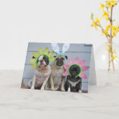 Klaar voor de Lente Kaart (Gele Bloem)