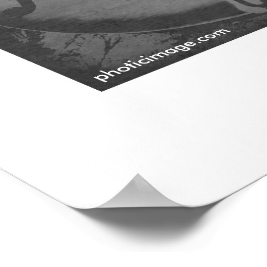 Klaar voor de  oogst poster (Hoek)