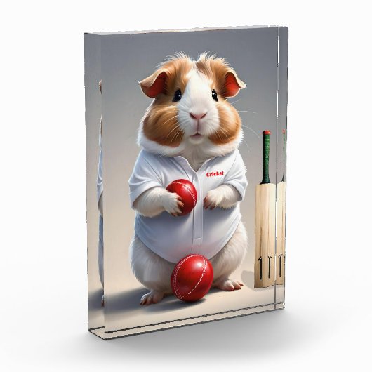 Klaar voor de pitch, cavia cricketer fotoblokken (Links)