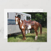 "Klaar voor de rit " Briefkaart (Voorkant / Achterkant)