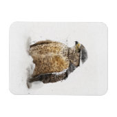 Klaar voor de sneeuwmagneet magneet (Horizontaal)