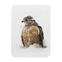 Klaar voor de sneeuwmagneet