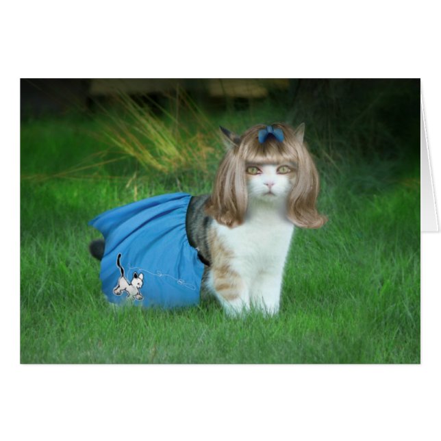 Klaar voor de Sock Hop! (Voorkant Horizontaal)