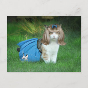 Klaar voor de Sock Hop! Briefkaart