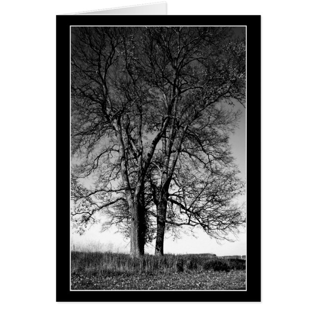 Klaar voor de winter (Voorkant)