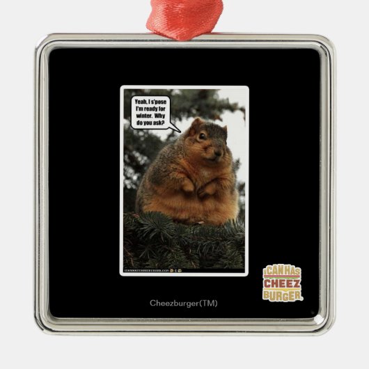 Klaar voor de winter metalen ornament (Voorkant)