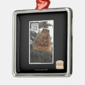 Klaar voor de winter metalen ornament (Links)