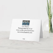 Klaar voor de zomer, S Cyr Kaart (Achterkant)