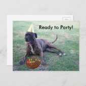Klaar voor feest met Birthday Dog en Brownie Cake Uitnodiging Briefkaart (Voorkant / Achterkant)