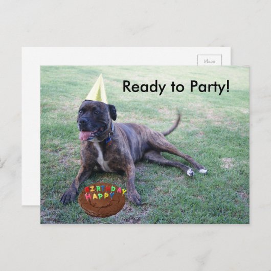 Klaar voor feest met Birthday Dog en Brownie Cake Uitnodiging Briefkaart (Voorkant / Achterkant)