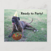 Klaar voor feest met Birthday Dog en Brownie Cake Uitnodiging Briefkaart (Voorkant)