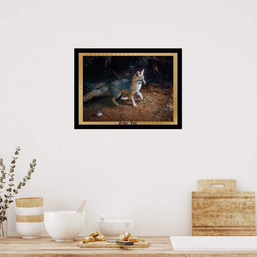 Klaar voor grijze vos poster (Keuken)