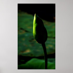 Klaar voor grootsheid poster