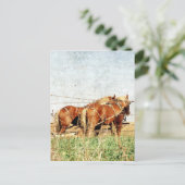 Klaar voor het werk, twee conceptpaarden briefkaart (Staand voorkant)