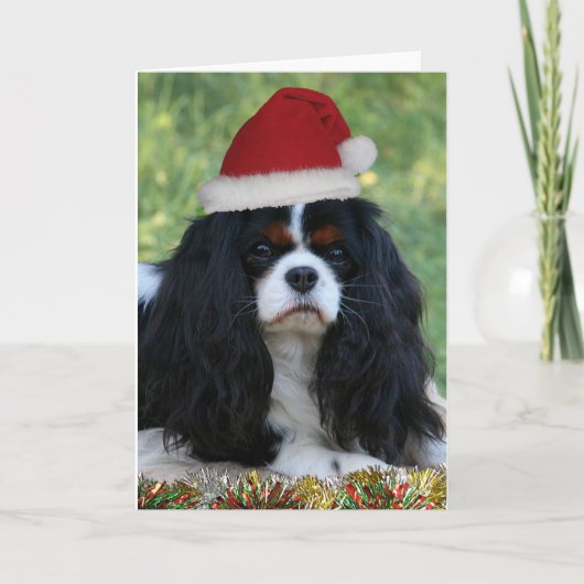 Klaar voor Kerstmis Feestdagen Kaart (Voorkant)