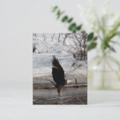 Klaar voor Liftoff Briefkaart (Staand voorkant)