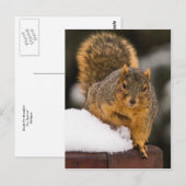 Klaar voor ontbijt briefkaart (Voorkant / Achterkant)
