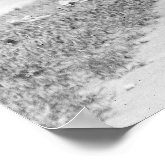 Klaar voor Ride, 1922 Poster (Hoek)