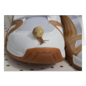 Klaar voor slakkenraces (Voorkant Horizontaal)