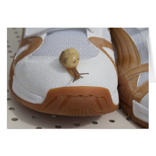 Klaar voor slakkenraces (Voorkant Horizontaal)