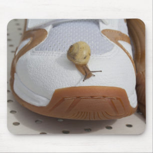 Klaar voor slakkenraces muismat