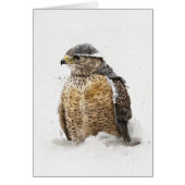 Klaar voor sneeuw (Voorkant)