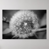 Klaar voor vertrek!!! poster (Voorkant)