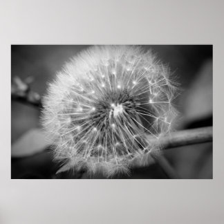 Klaar voor vertrek!!! poster