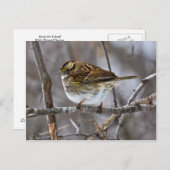 Klaar voor verzending na verzending briefkaart (Voorkant / Achterkant)