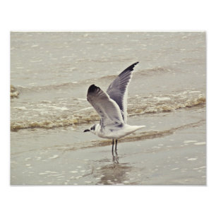 Klaar voor vliegfoto foto afdruk