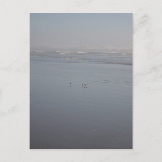 Klalaoch en vogels briefkaart (Voorkant)