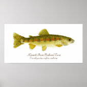 Klameth Basin Redband Trout Poster (Voorkant)