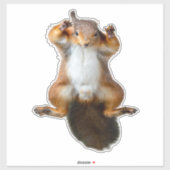 Klammerende Eekhoorn Raam Graphic Sticker (Vel)