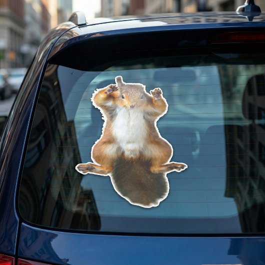 Klammerende Eekhoorn Raam Graphic Sticker