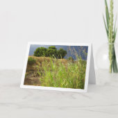 Klandscape Canyon Kaart (Voorkant)