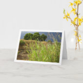 Klandscape Kaart (Gele Bloem)