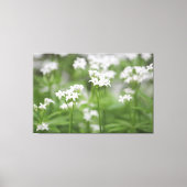 Klante witte Floral Canvas (Voorkant)