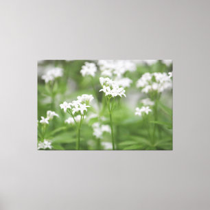Klante witte Floral Canvas Afdruk