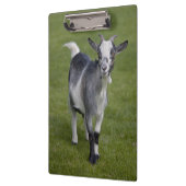 Klantenbord voor geit van Pygmy Klembord (Links)